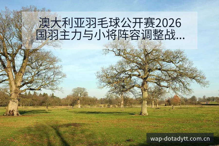 澳大利亚羽毛球公开赛2026国羽主力与小将阵容调整战术价 - 鲸鱼直播